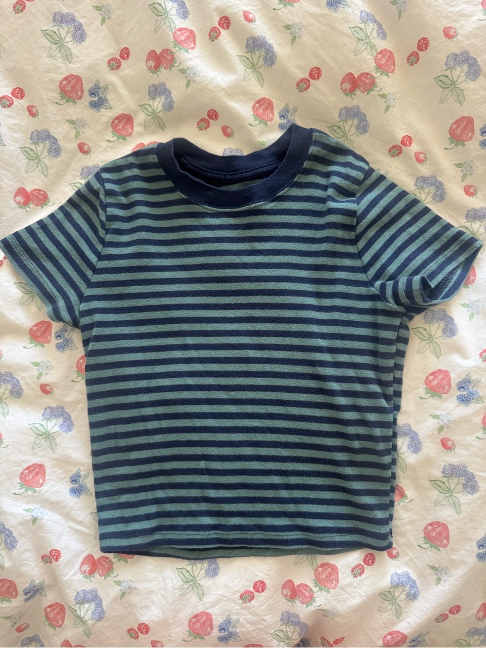 Hollister Navy and Teal Striped Short Sleeve Tee